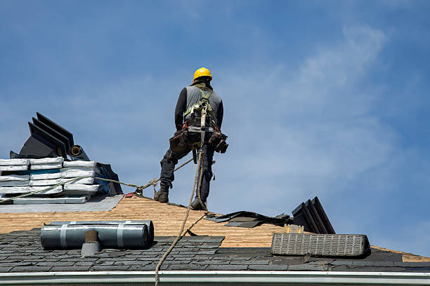 Professional Storm Damage Roof Repair technician working in Roxobel, NC